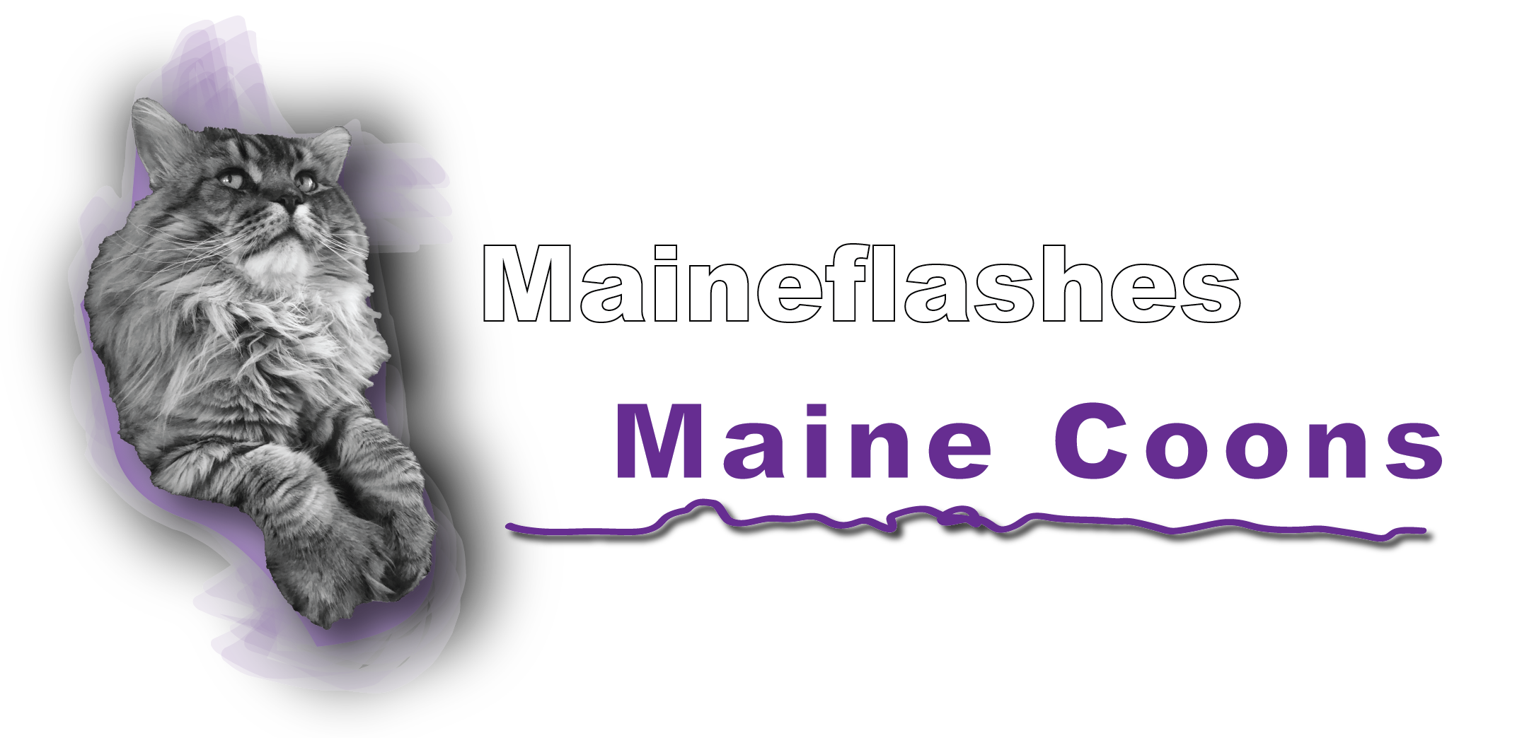 Mainflashes Maine Coons